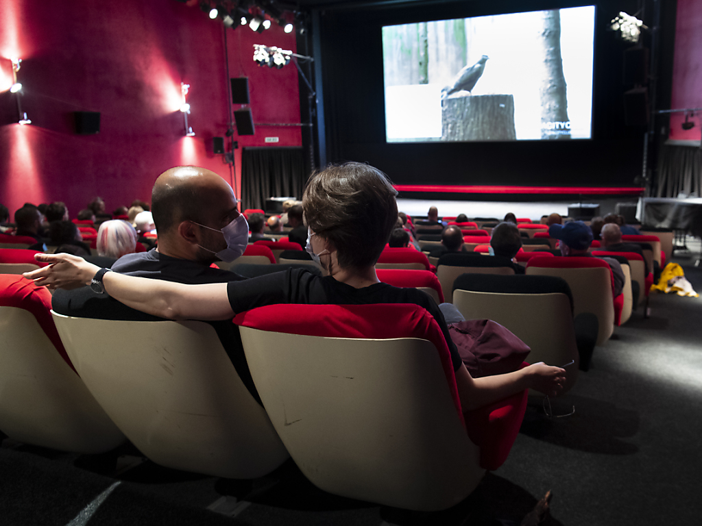 L'enveloppe pour la culture, notamment pour le cinéma, est fortement débattue au National (illustration).